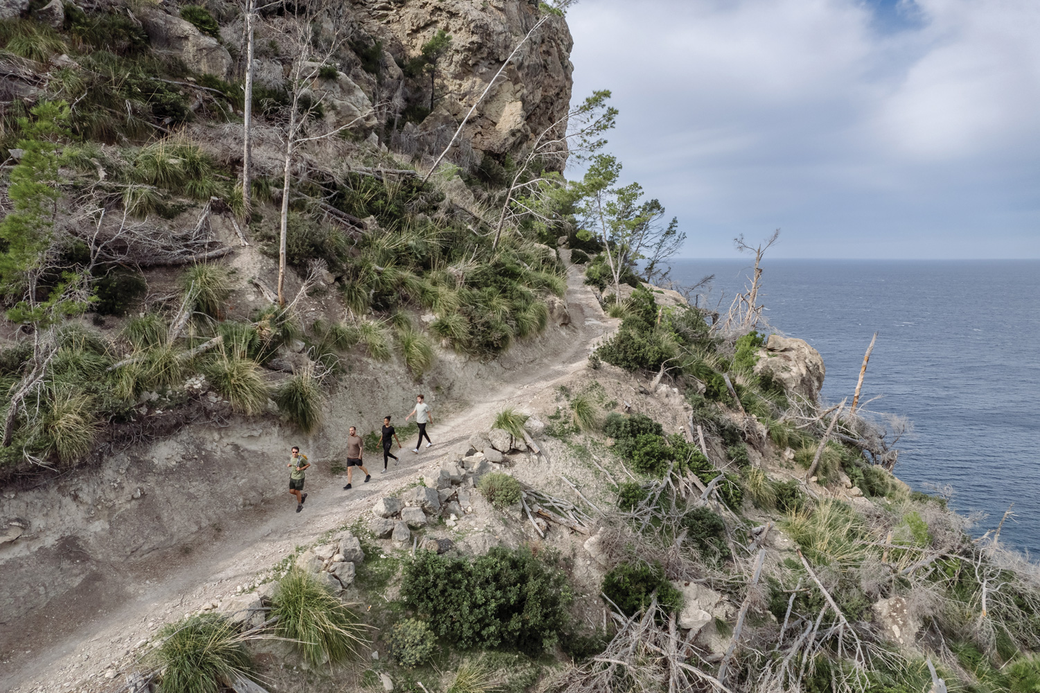  Global wellness reset this year